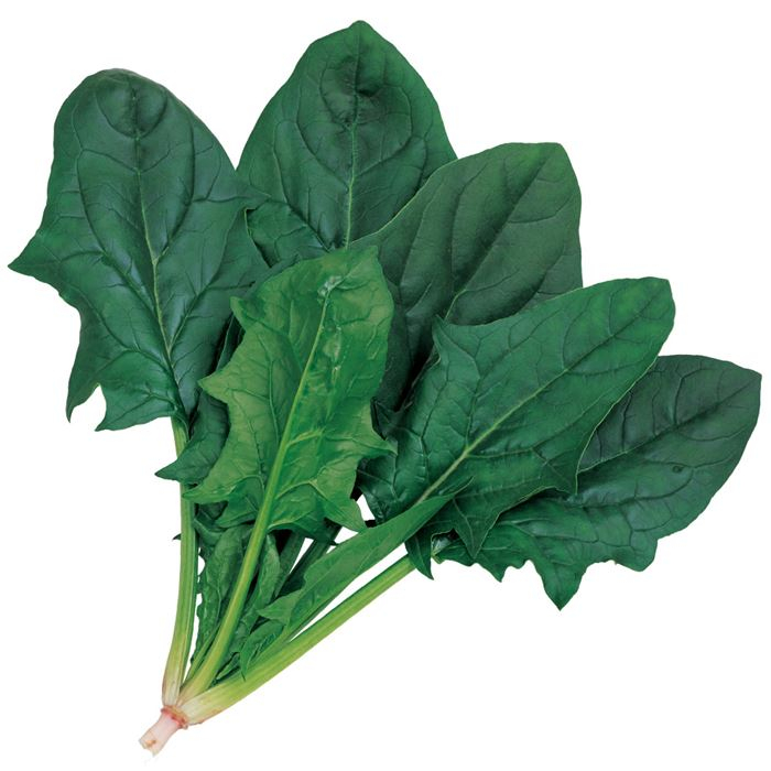 ホウレンソウ オシリス