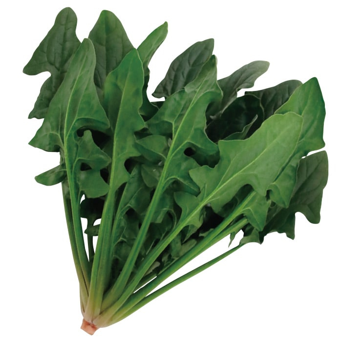 日本ほうれんそうタイプ 寒締め吾郎丸<sup>®</sup>