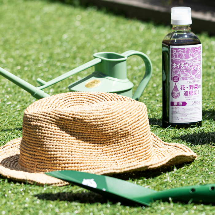 ホウレンソウ栽培におすすめのグッズ